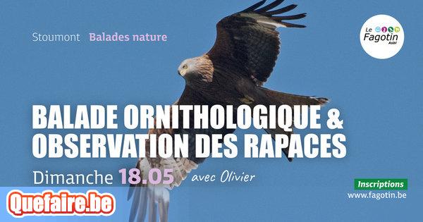 Loisirs Visite Balade Balade Ornithologique Et Observation Des