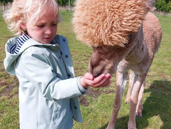 Alpaca Farm
boerderijbezoek