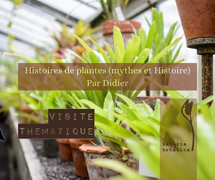 Loisirs Histoires plantes ( mythes Histoire)