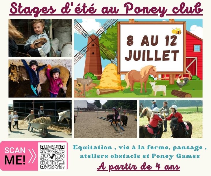Stages,cours Stages d Et poney club