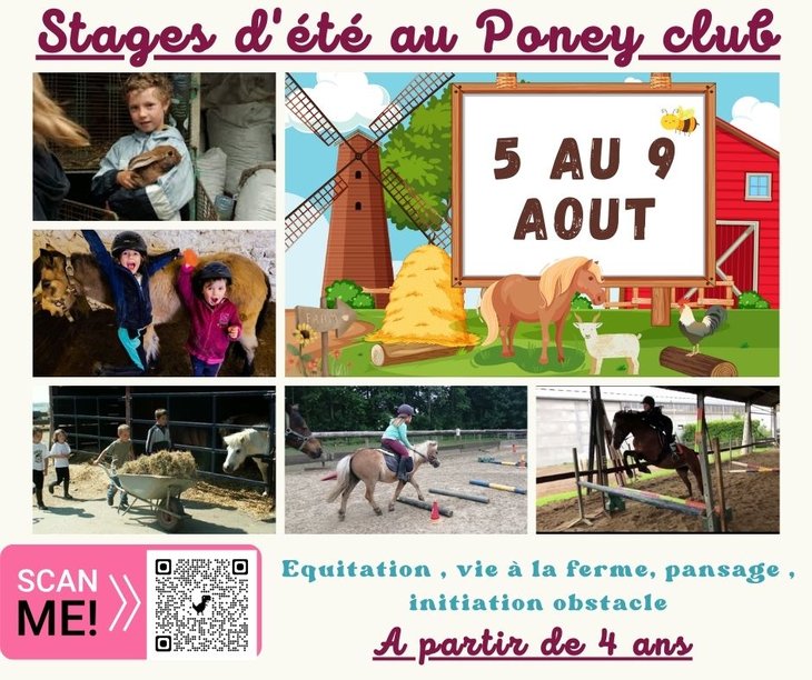 Stages,cours Stages d Et poney club