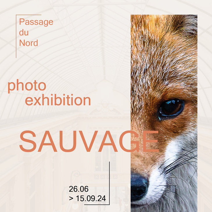 Expositions Sauvage - expo photo
