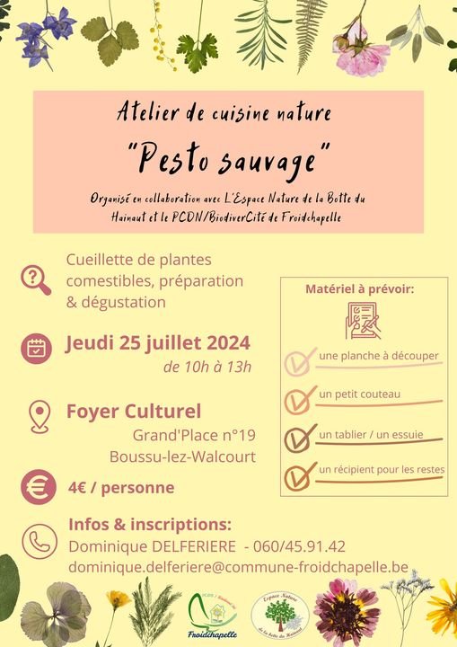 Stages,cours Pesto sauvage - atelier cuisine nature